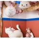 18'' Μπαλόνι Στρογγυλό Kitty Happy Birthday