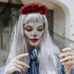 Ασημί μακριά Περούκα Ασημί μακριά Περούκα