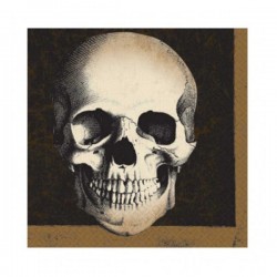 Χαρτοπετσέτες Νεκροκεφαλή (20 τεμ) Χαρτοπετσέτες Νεκροκεφαλή (20 τεμ)