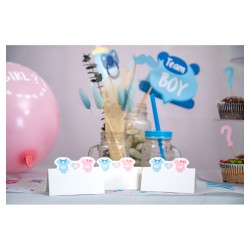 Καρτελάκι για Τραπέζι – Boy or Girl (6 τεμ)
