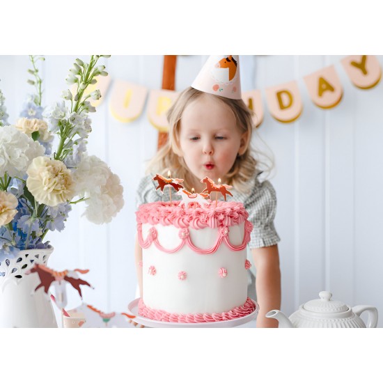 Κεράκια γενεθλίων Άλογο Vintage (3 τεμ)