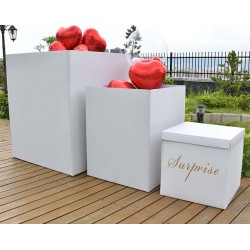 Κουτί έκπληξης "Surprise" Κουτί έκπληξης "Surprise"