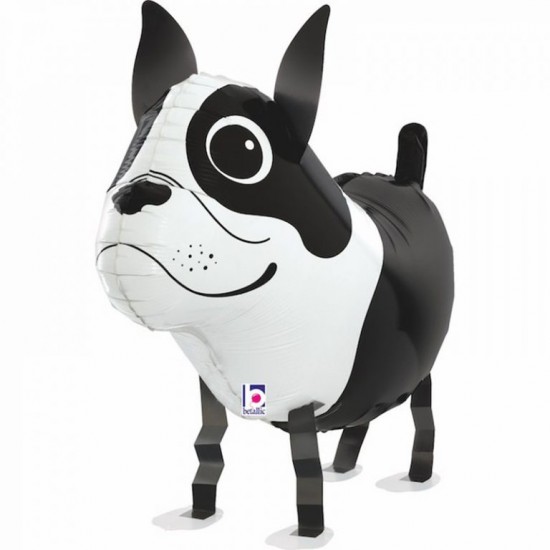 Μπαλόνι Σκυλάκι Boston Terrier που περπατάει 48 εκ Μπαλόνι Σκυλάκι Boston Terrier που περπατάει 48 εκ