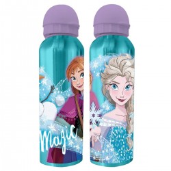 Παιδικό Παγούρι μεταλλικό - Frozen 2 Παιδικό Παγούρι μεταλλικό - Frozen 2