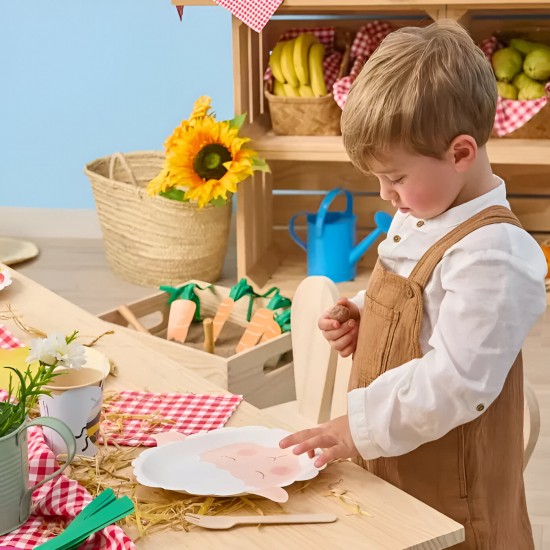 Πιάτα φαγητού Ζωάκια της Φάρμας 3D (6 τεμ)