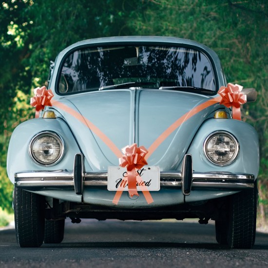 Σετ Διακόσμησης Αυτοκινήτου Κόκκινο (5 τεμ)