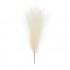 Τεχνητό Pampas Grass κρεμ