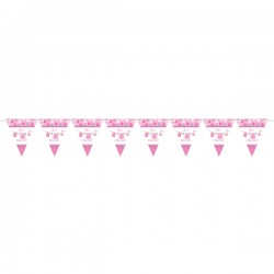 Τριγωνικά Σημαιάκια Baby Girl Τριγωνικά Σημαιάκια Baby Girl